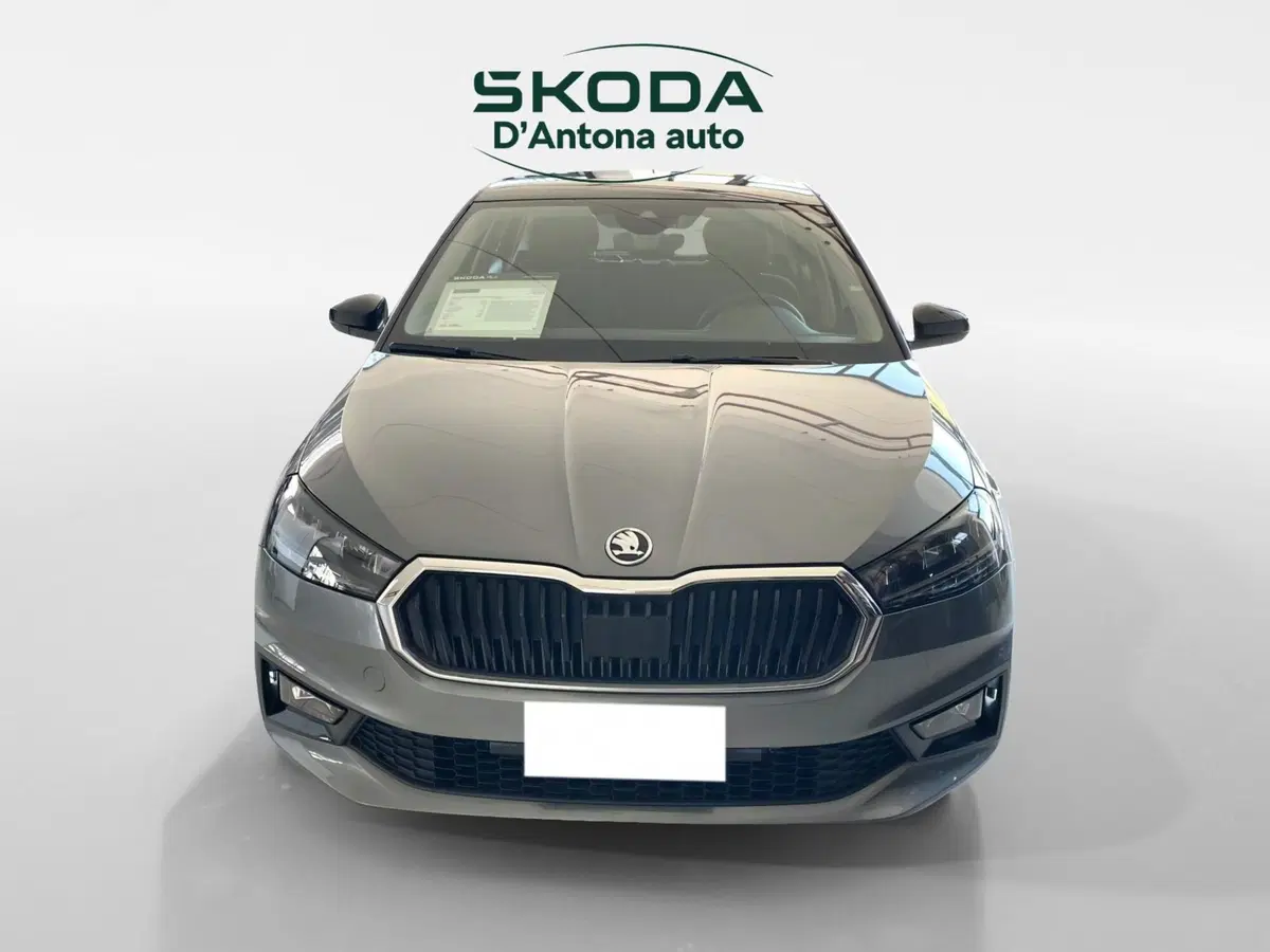 Skoda Fabia usata a Taranto (12)