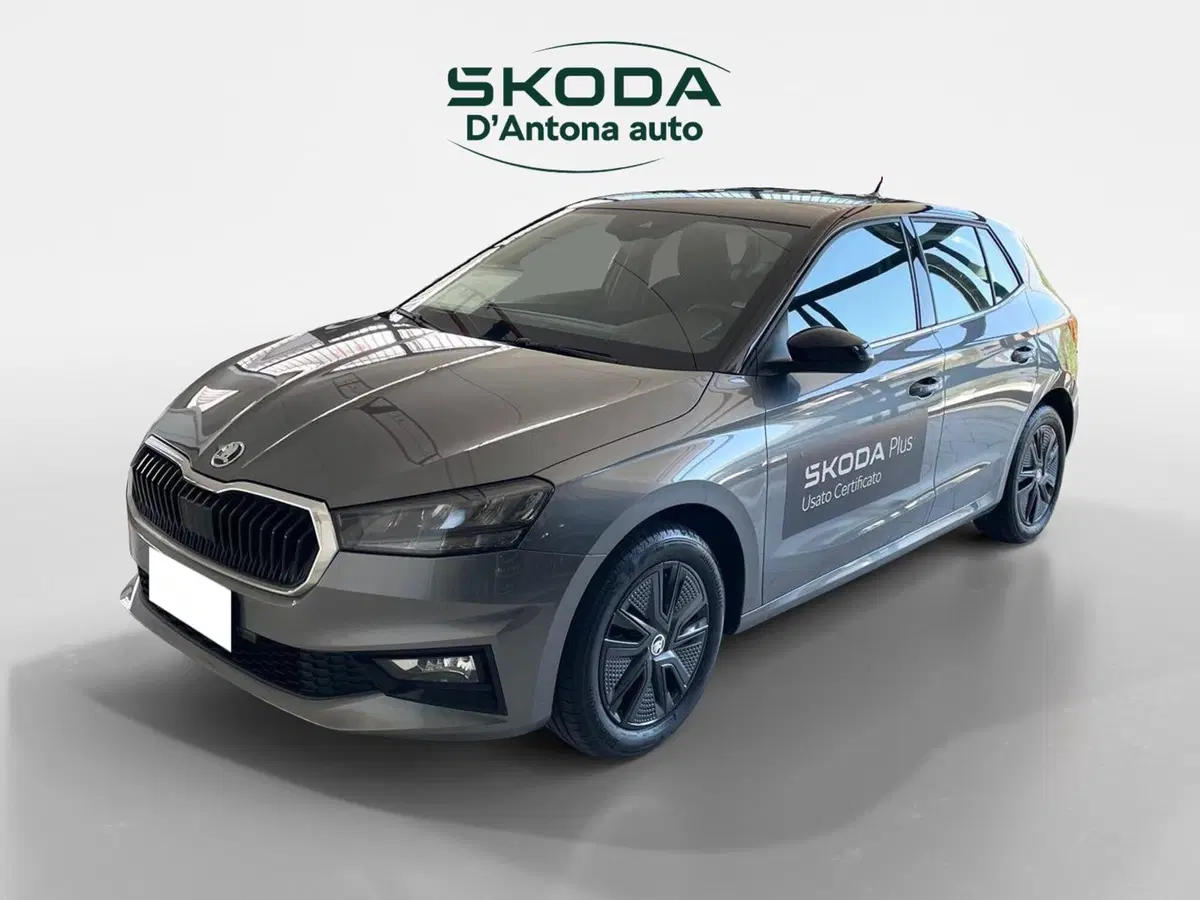 Skoda Fabia usata a Taranto (2)