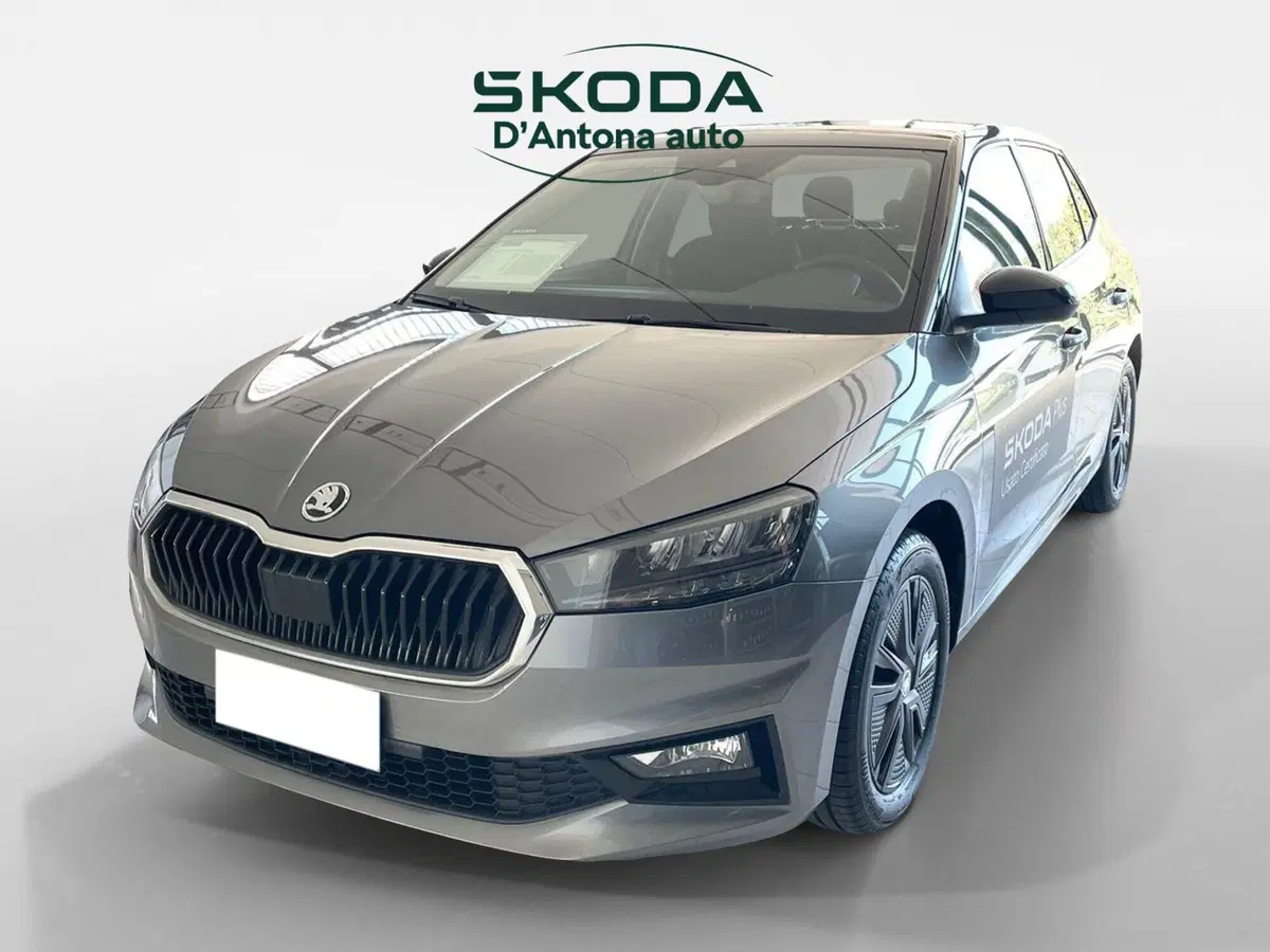 Skoda Fabia usata a Taranto (6)