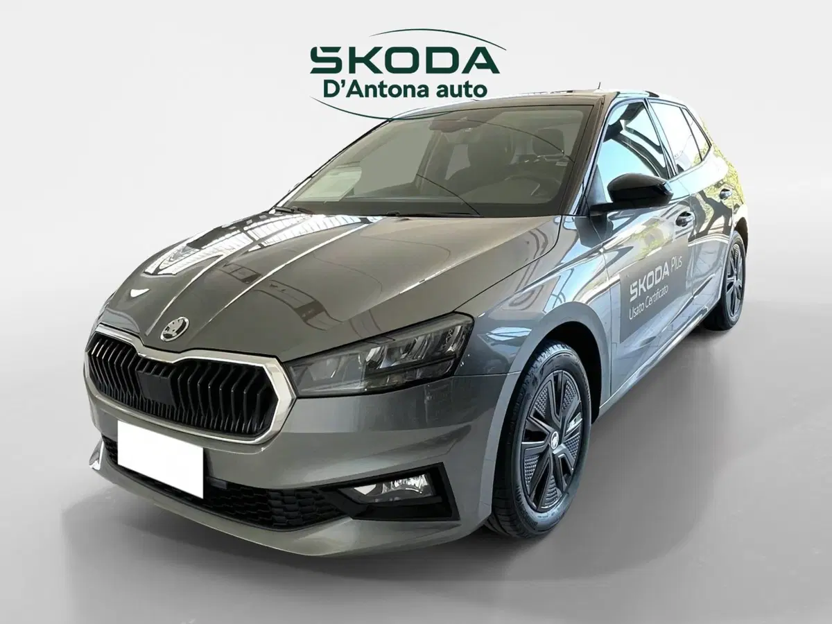 Skoda Fabia usata a Taranto (7)