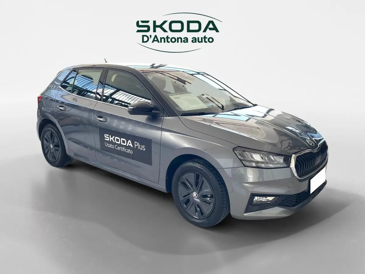 Skoda Fabia usata a Taranto (9)
