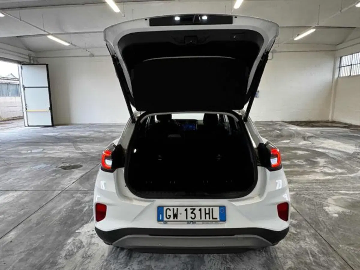 Ford Puma usata a Bologna (14)