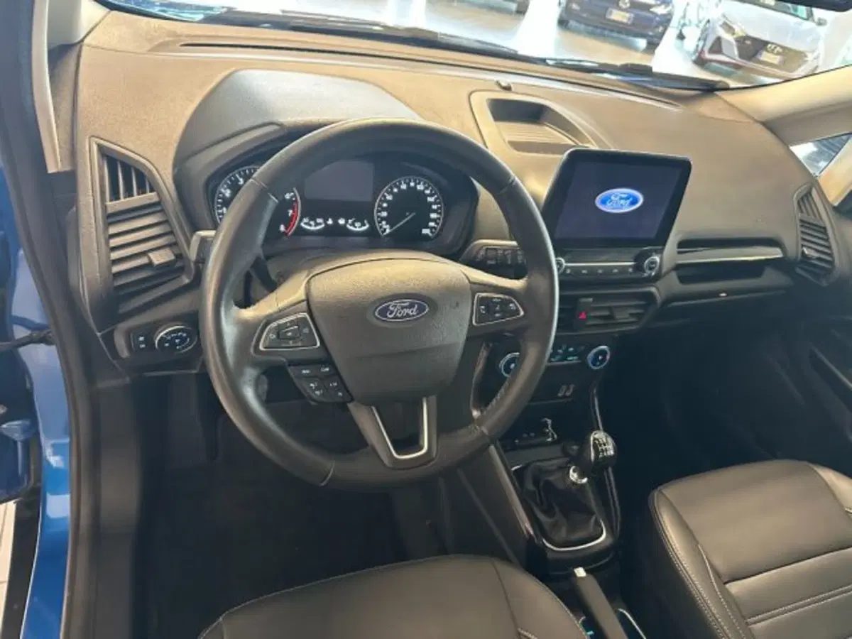Ford EcoSport usata a Cuneo (9)