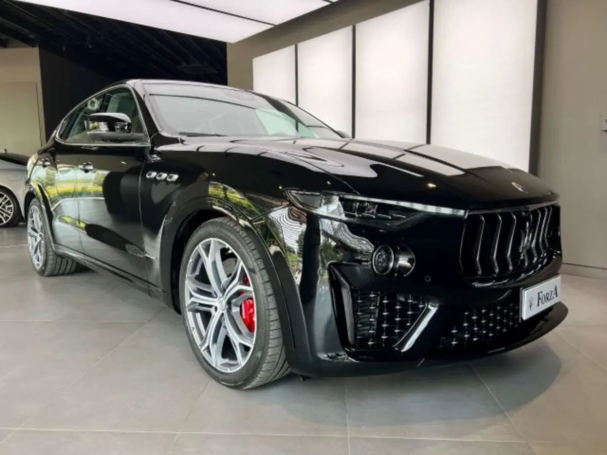 Maserati Levante usata a Torino (3)