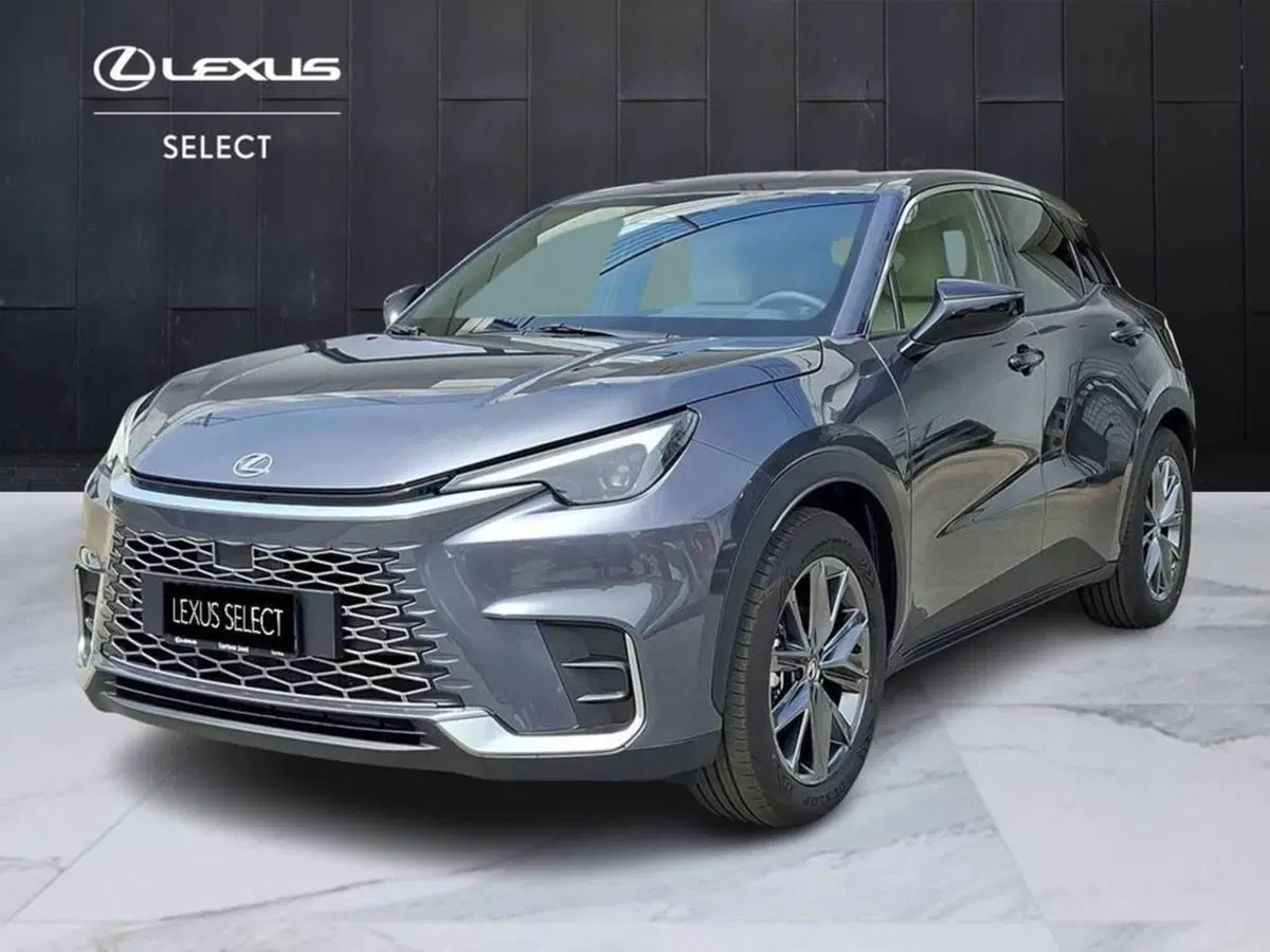 Lexus LBX usata a Torino
