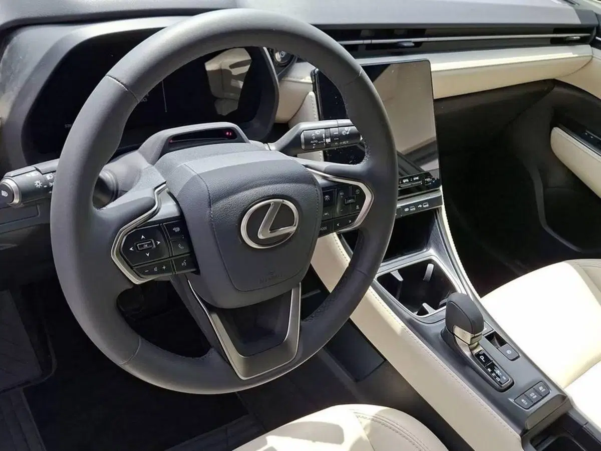 Lexus LBX usata a Torino (13)