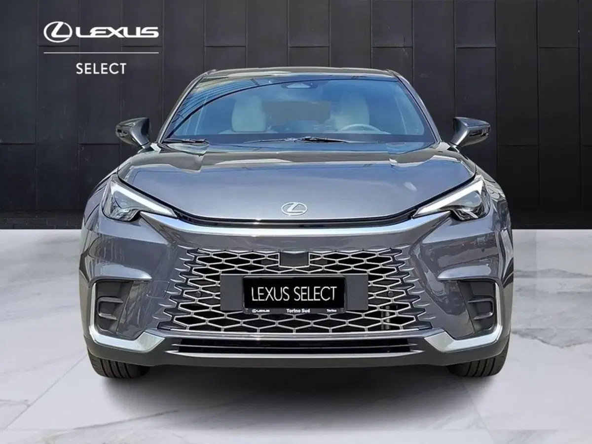 Lexus LBX usata a Torino (4)