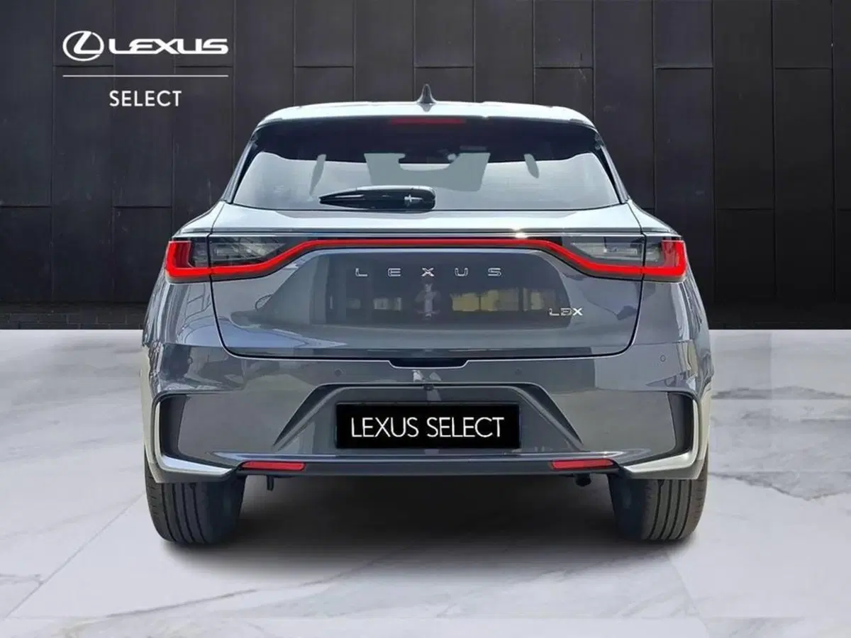 Lexus LBX usata a Torino (5)