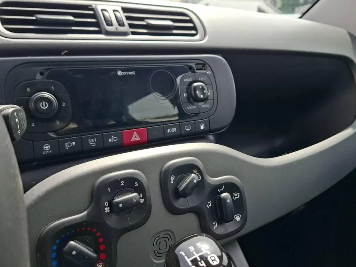 Fiat Panda usata a Torino (9)
