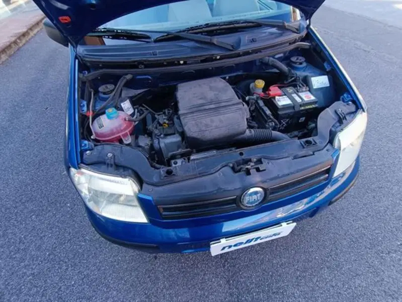 Fiat Panda usata a Pisa (2)