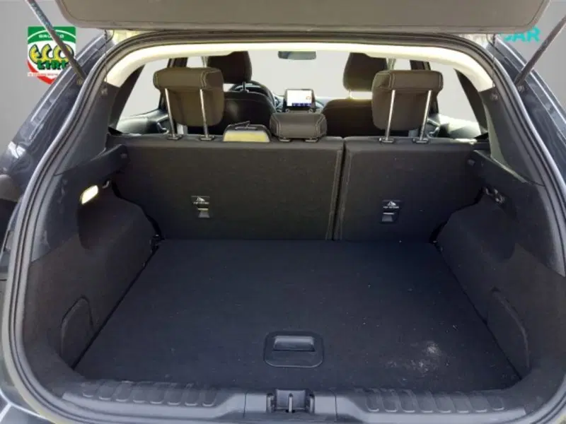 Ford Puma usata a Frosinone (6)