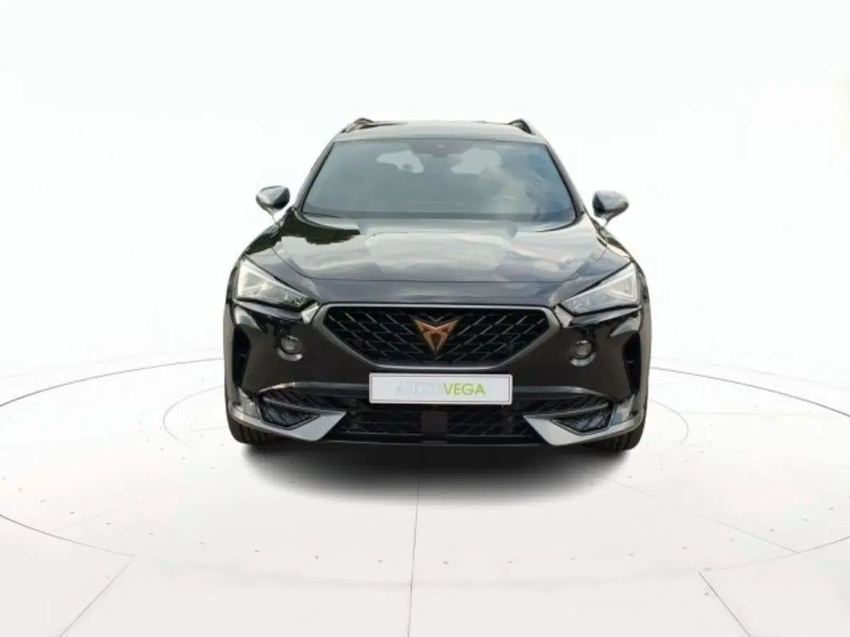 Cupra Formentor usata a Vicenza (2)