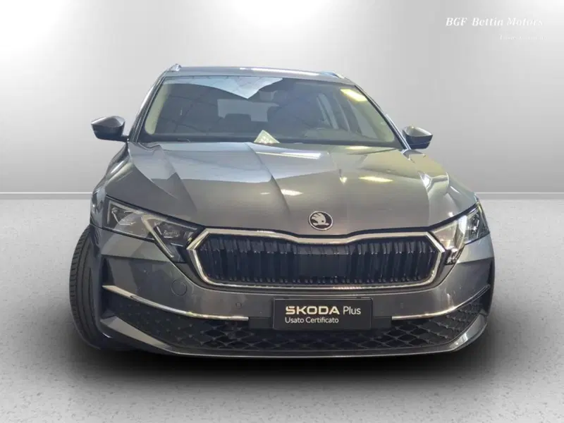 Skoda Octavia Station Wagon usata a Padova (7)