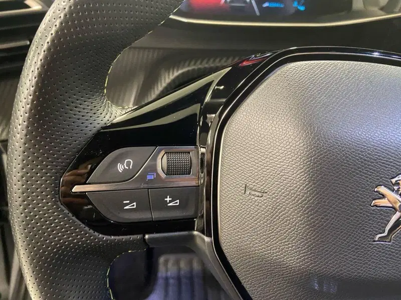 Peugeot 2008 usata a Torino (12)
