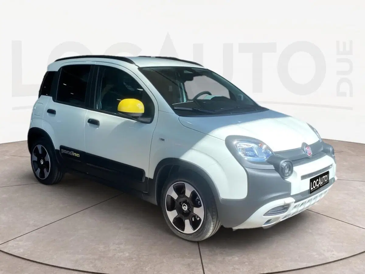 Fiat Pandina nuova a Torino (3)