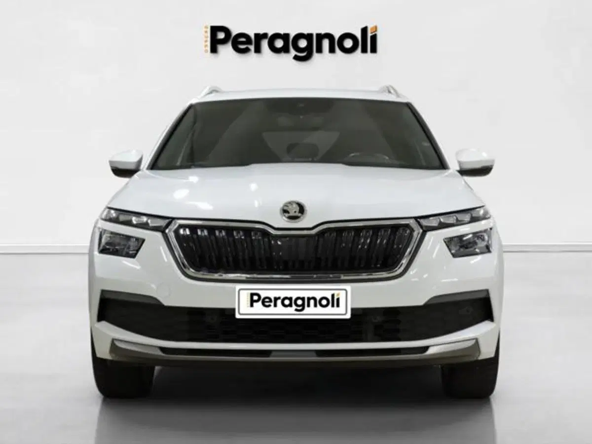 Skoda Kamiq usata a Firenze (2)