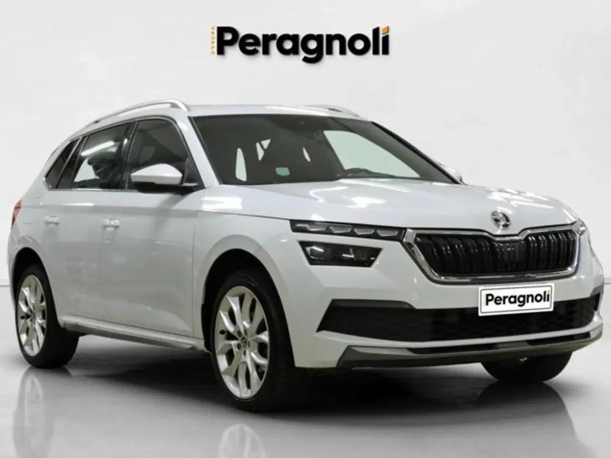 Skoda Kamiq usata a Firenze (3)