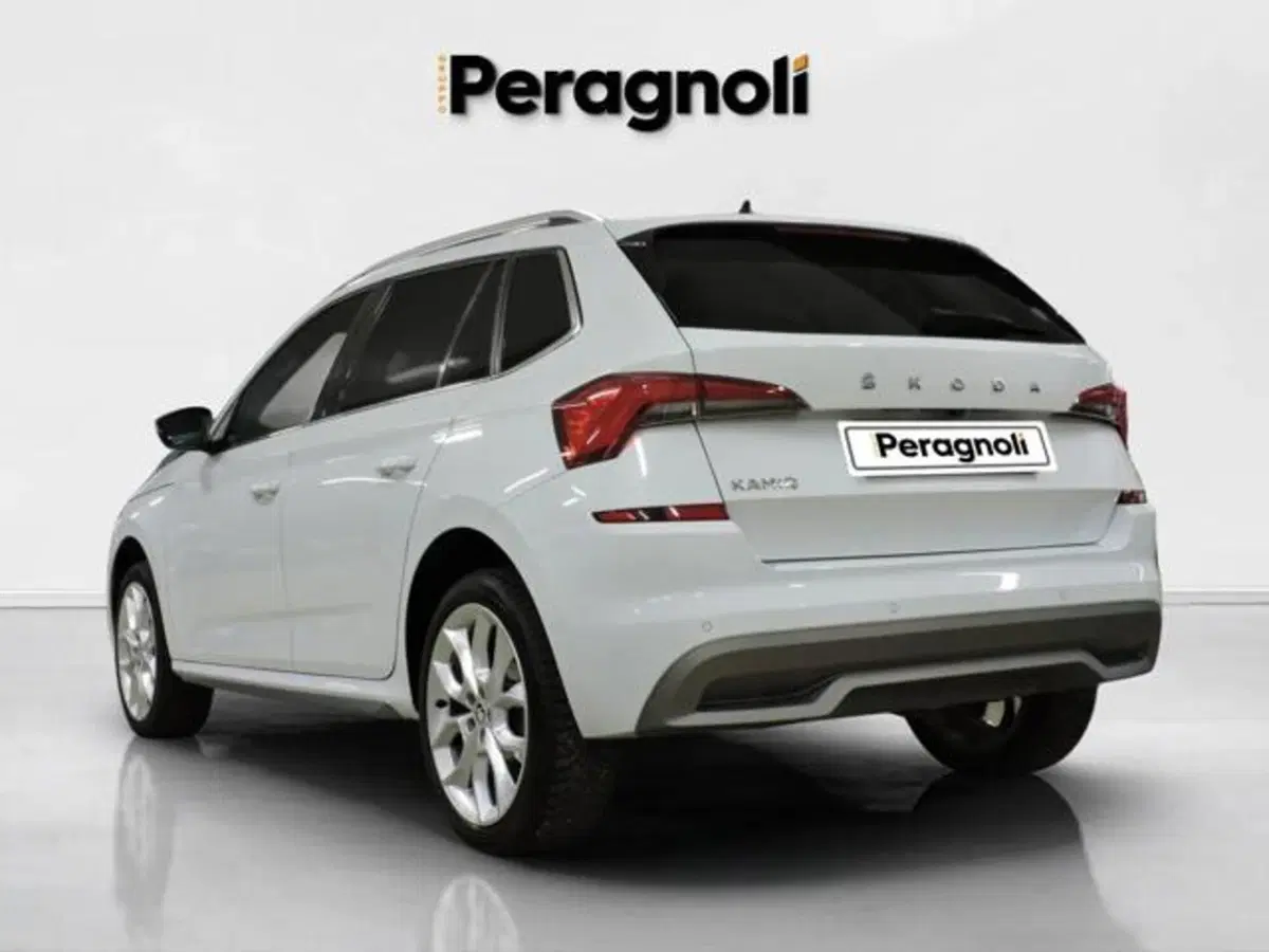 Skoda Kamiq usata a Firenze (4)