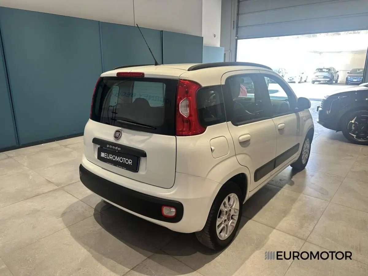 Fiat Panda usata a Bari (6)