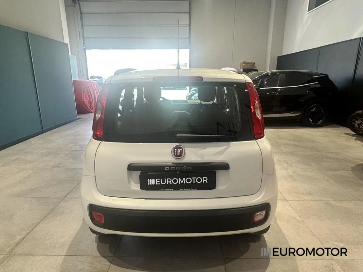 Fiat Panda usata a Bari (7)