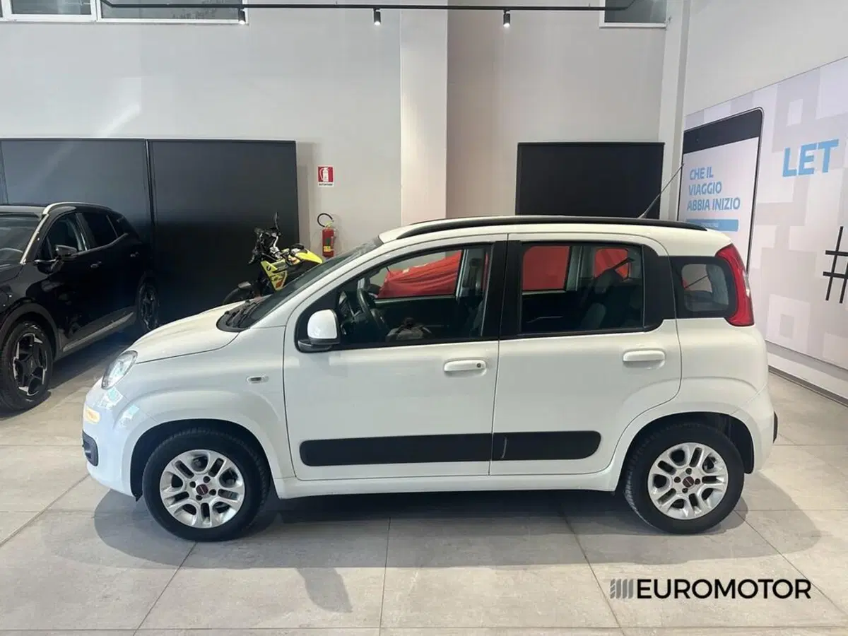 Fiat Panda usata a Bari (9)