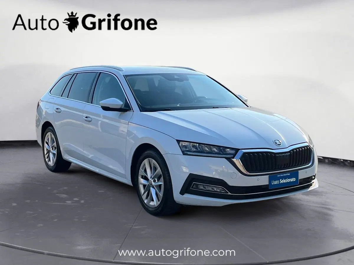 Skoda Octavia Station Wagon usata a Modena (7)
