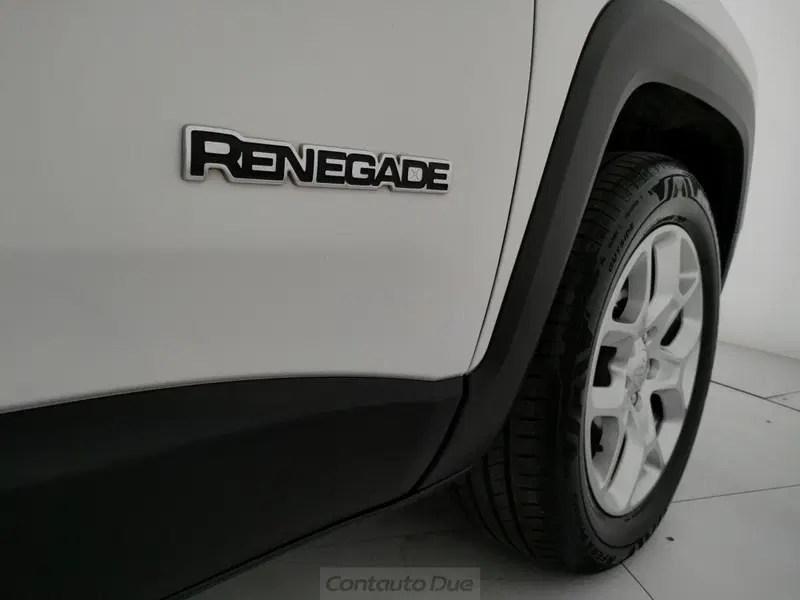 Jeep Renegade usata a Caserta (19)