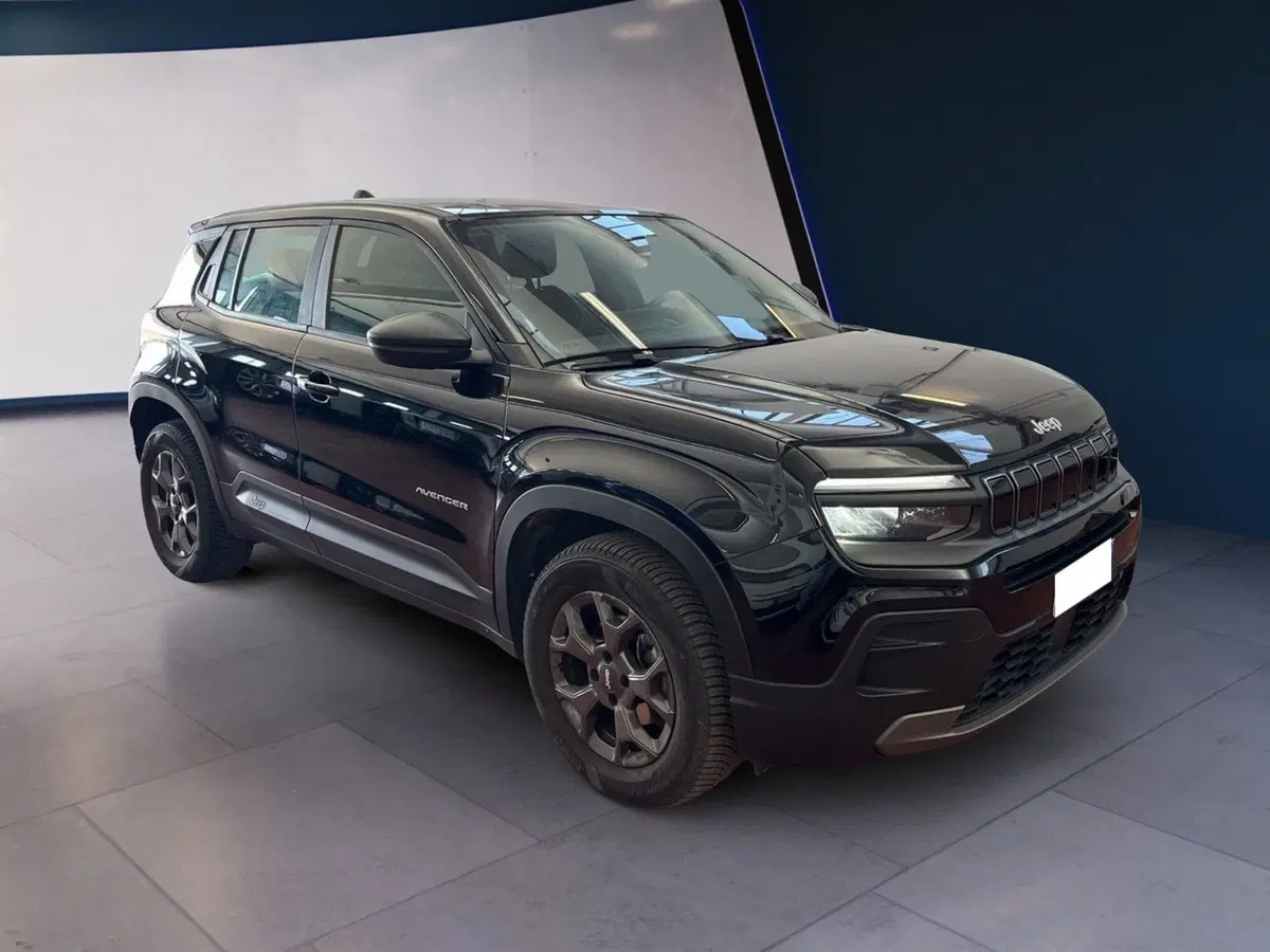 Jeep Avenger usata a Torino (2)