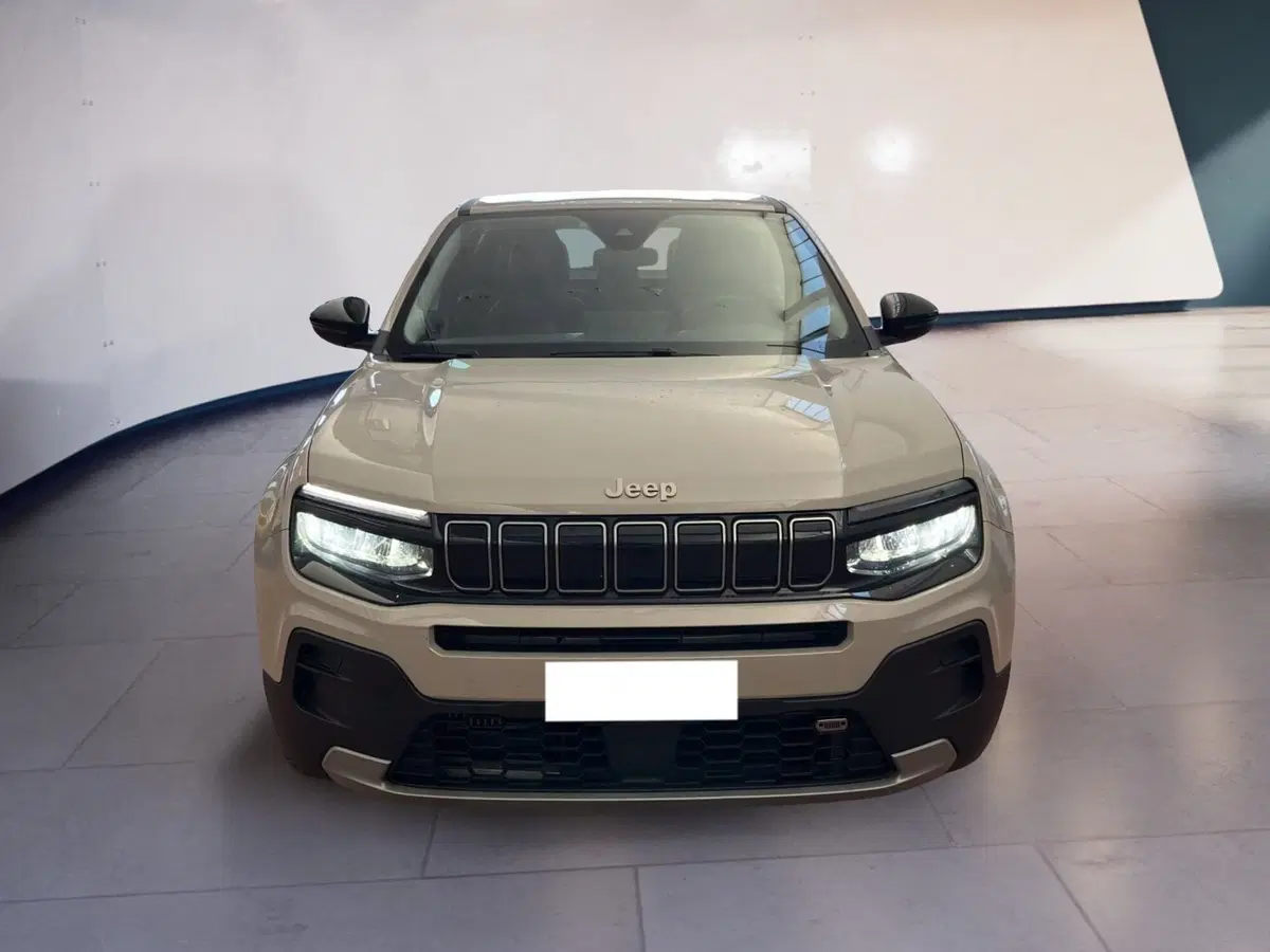 Jeep Avenger usata a Torino