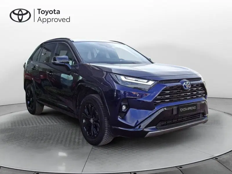 Toyota Rav4 usata a Treviso (2)