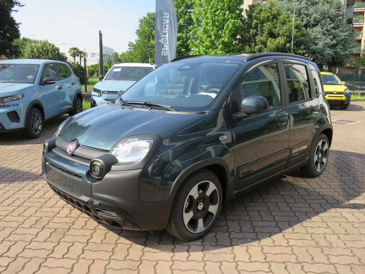Fiat Pandina nuova a Monza e Brianza (4)