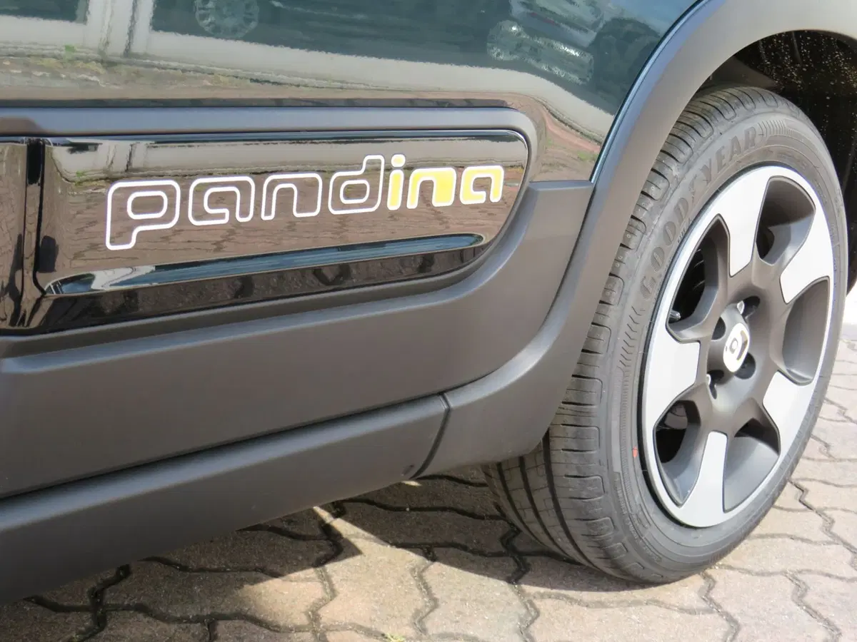 Fiat Pandina nuova a Monza e Brianza (5)