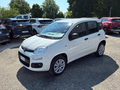 Fiat Panda 0.9 TwinAir Turbo Natural Power Easy del 2019 usata a Faenza