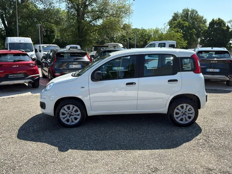 Fiat Panda usata a Ravenna (3)