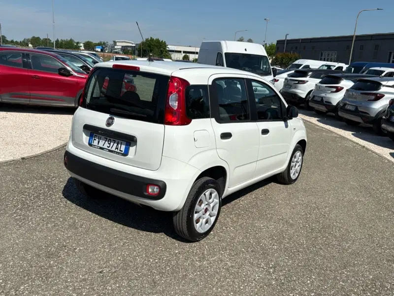 Fiat Panda usata a Ravenna (4)