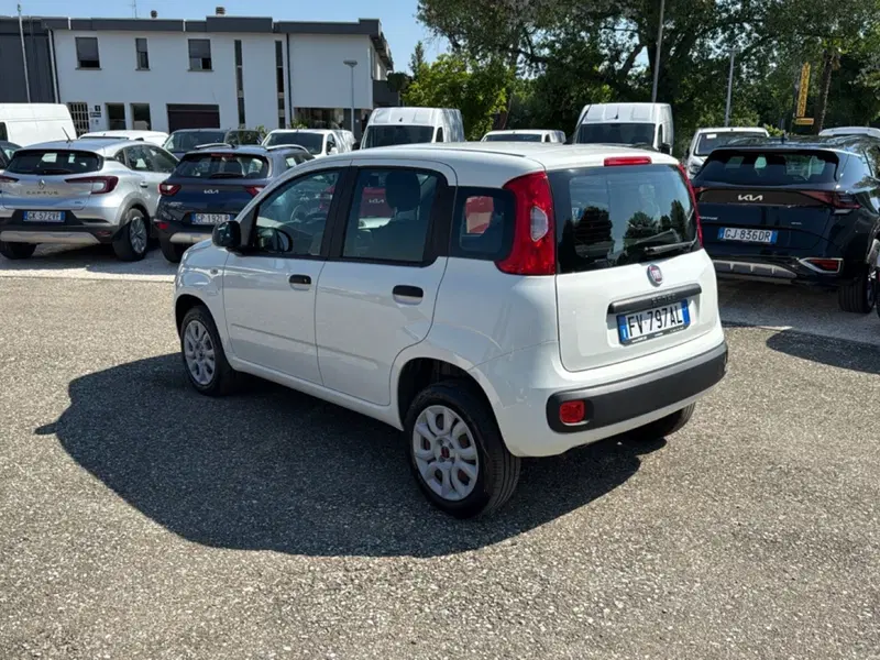 Fiat Panda usata a Ravenna (6)