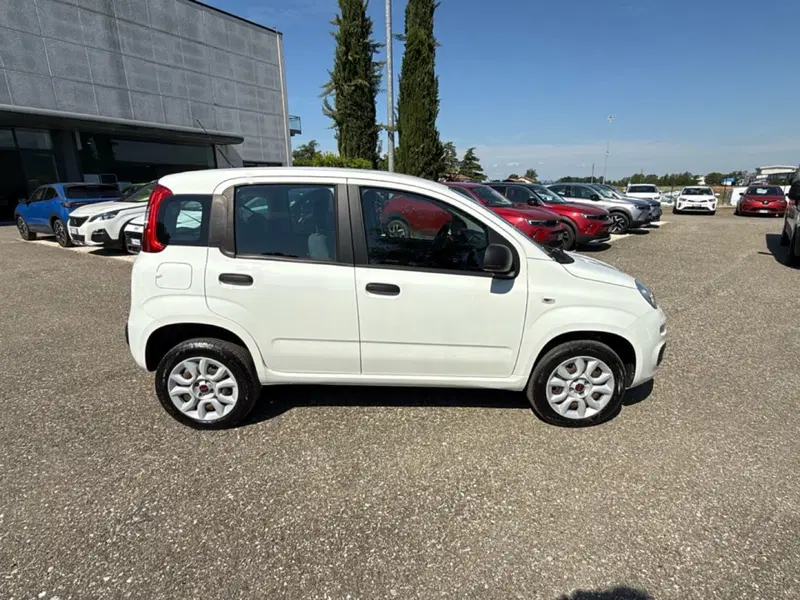Fiat Panda usata a Ravenna (7)