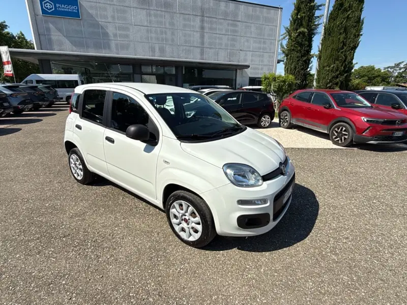 Fiat Panda usata a Ravenna (8)