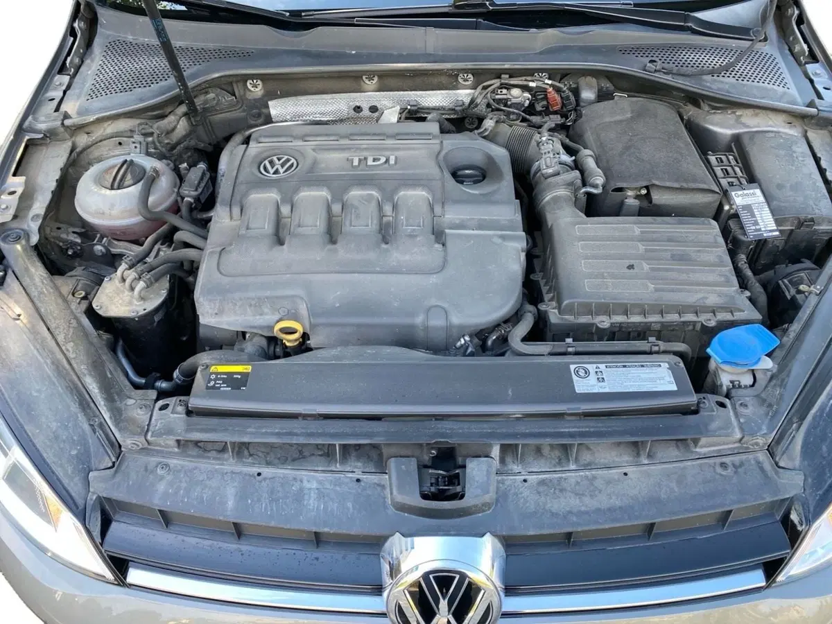 Volkswagen Golf usata a Bologna (12)