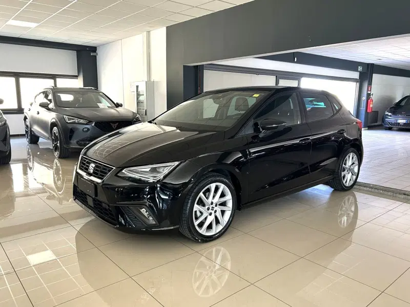 SEAT Ibiza usata a Ferrara