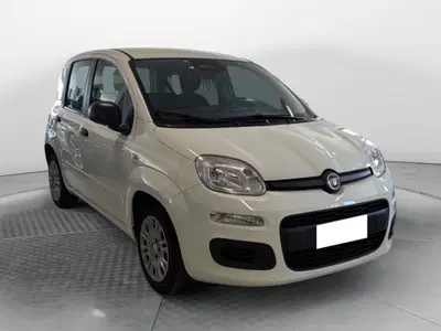 Fiat Panda Cross Cross 1.0 FireFly S&amp;S Hybrid del 2025 usata a Ponsacco