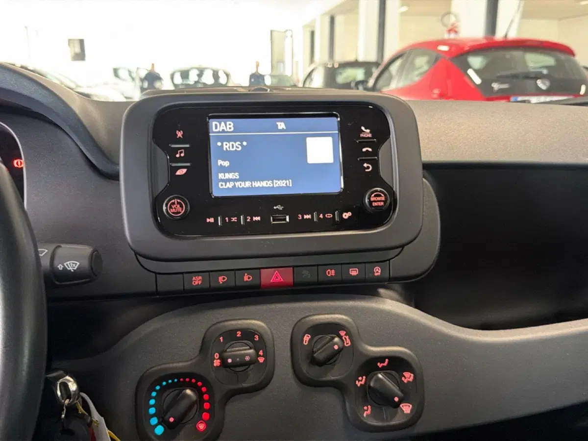 Fiat Panda Cross usata a Pisa (10)