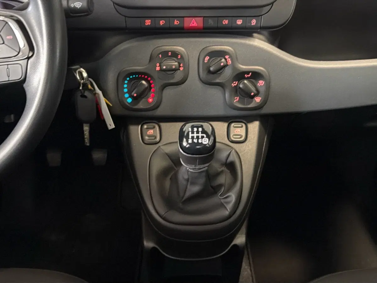 Fiat Panda Cross usata a Pisa (12)
