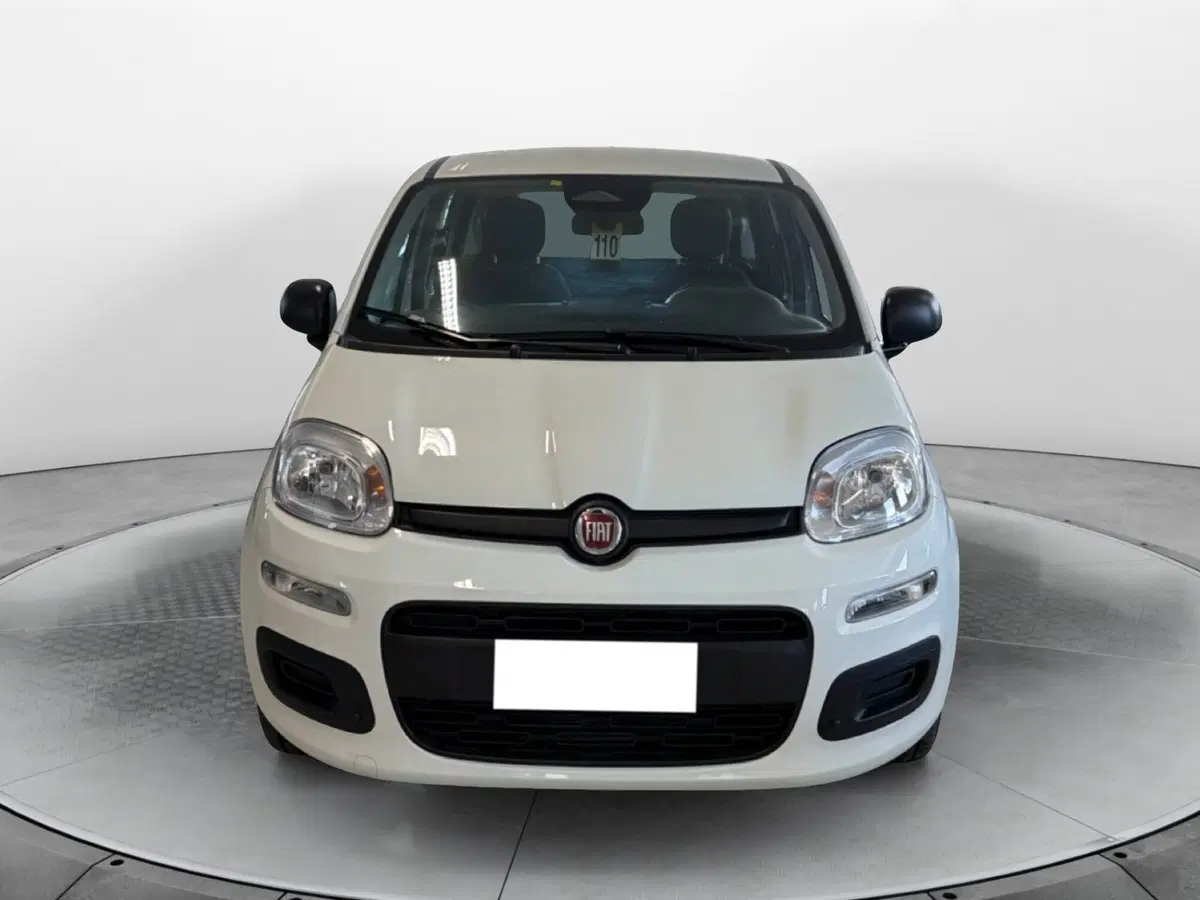 Fiat Panda Cross usata a Pisa (2)
