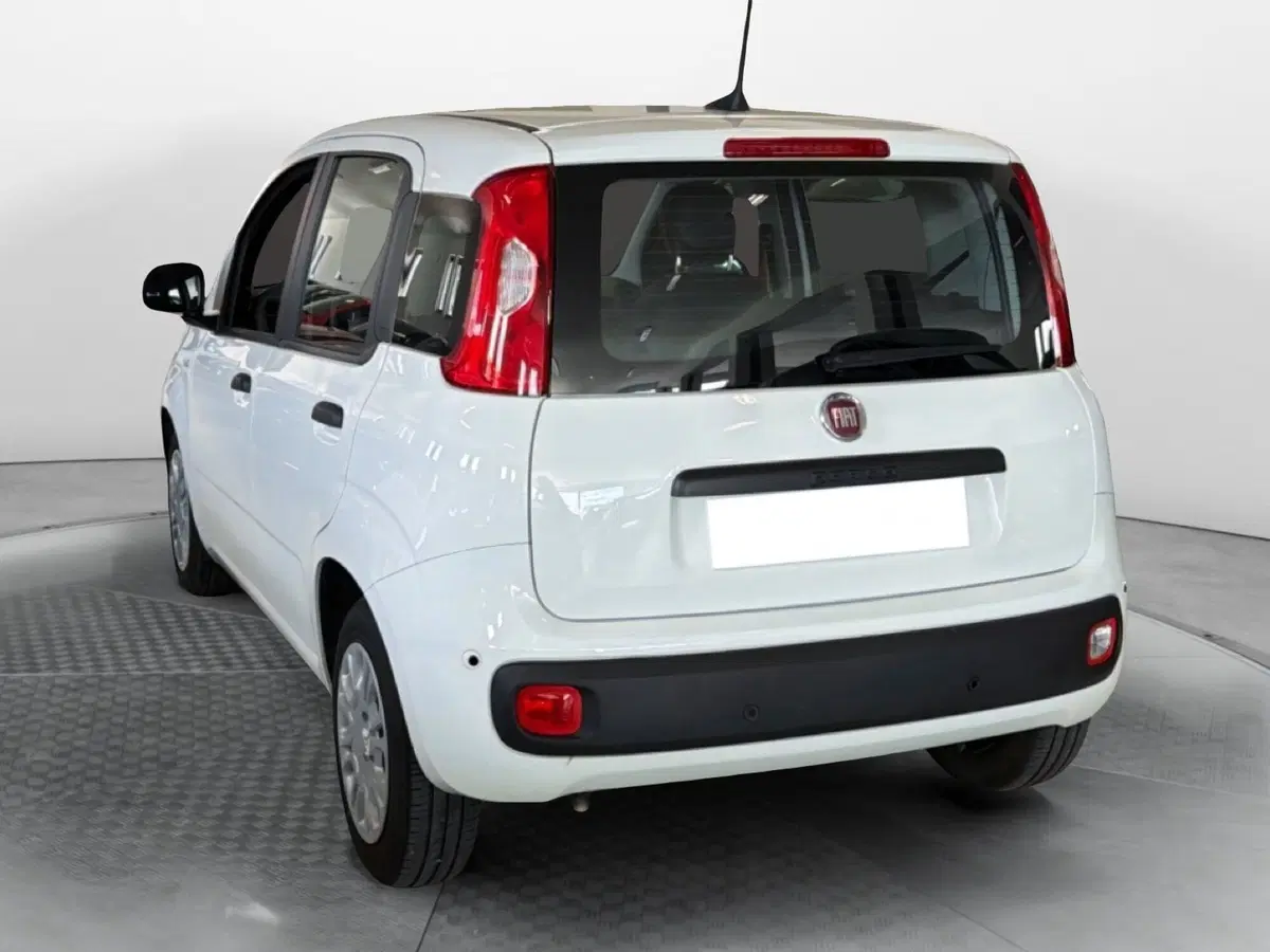 Fiat Panda Cross usata a Pisa (4)