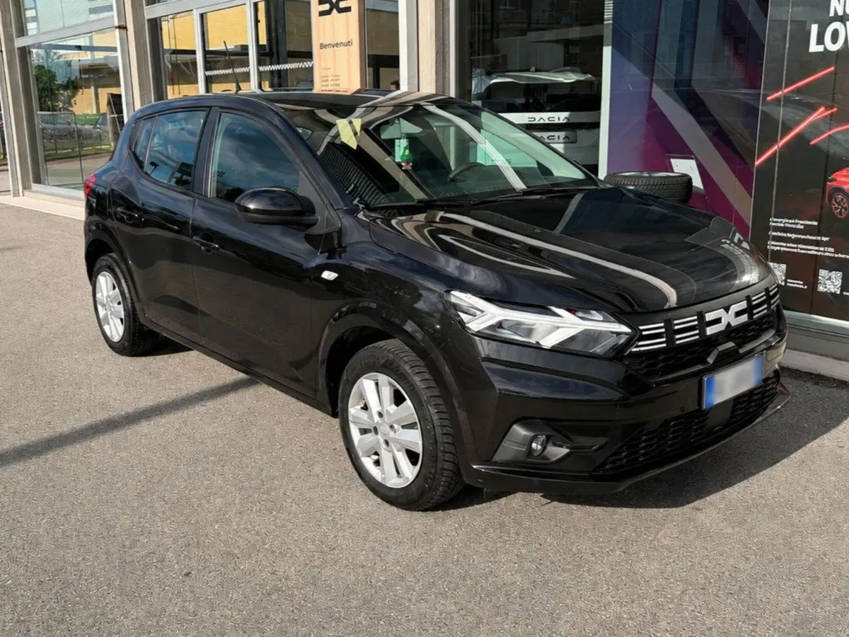 Dacia Sandero Streetway usata a Rimini (2)