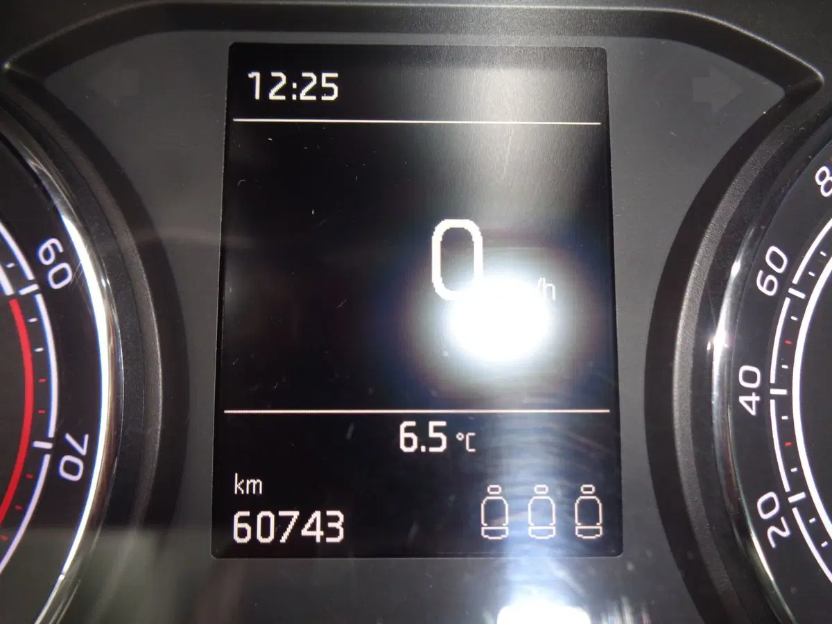 Skoda Kamiq usata a Treviso (11)
