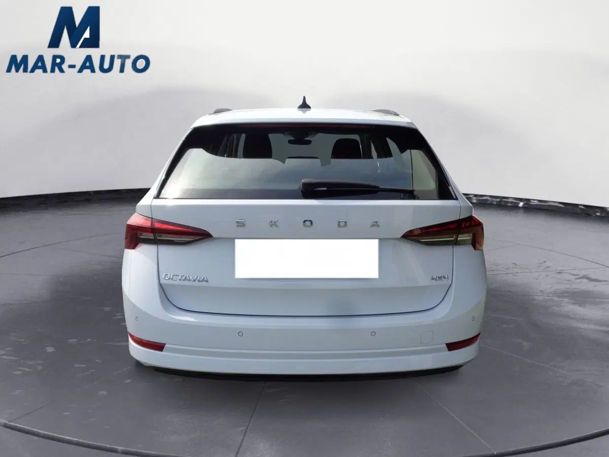 Skoda Octavia Station Wagon usata a Treviso (18)