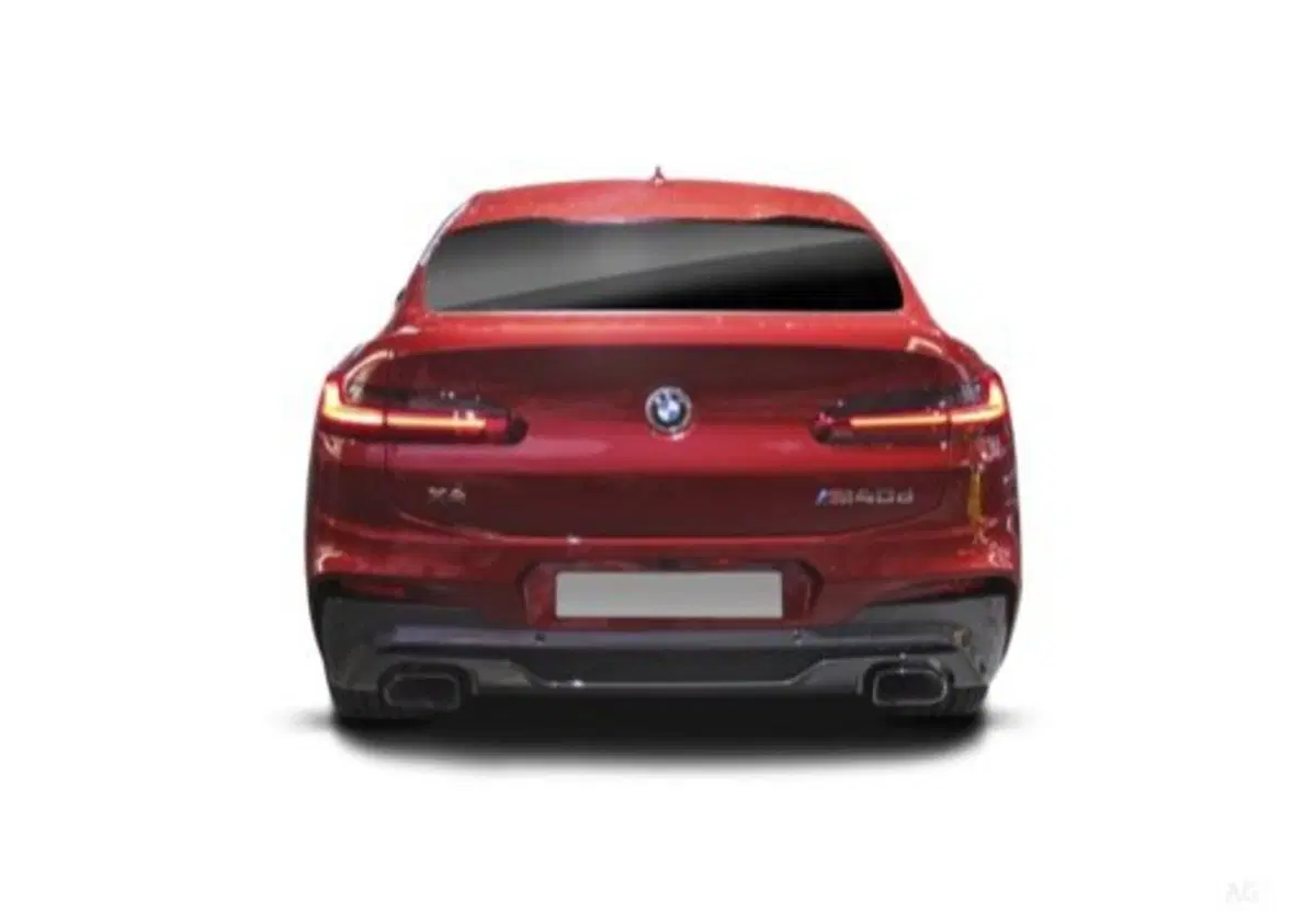 BMW X4 usata a Caserta (10)