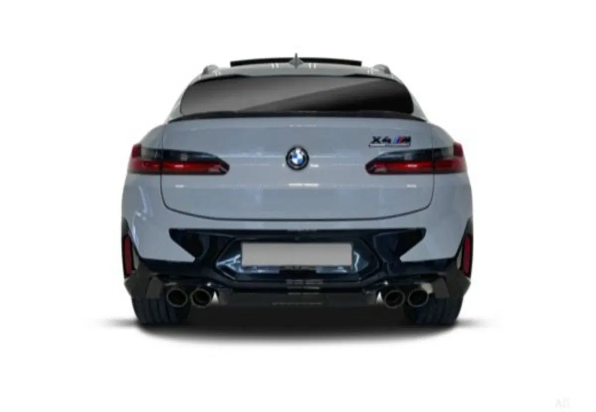 BMW X4 usata a Caserta (11)